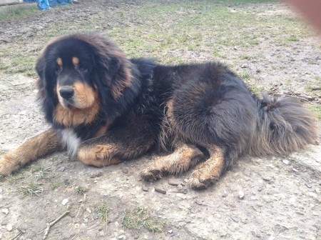 ZERO Henriet´s garden,(DJEGO x RIA)